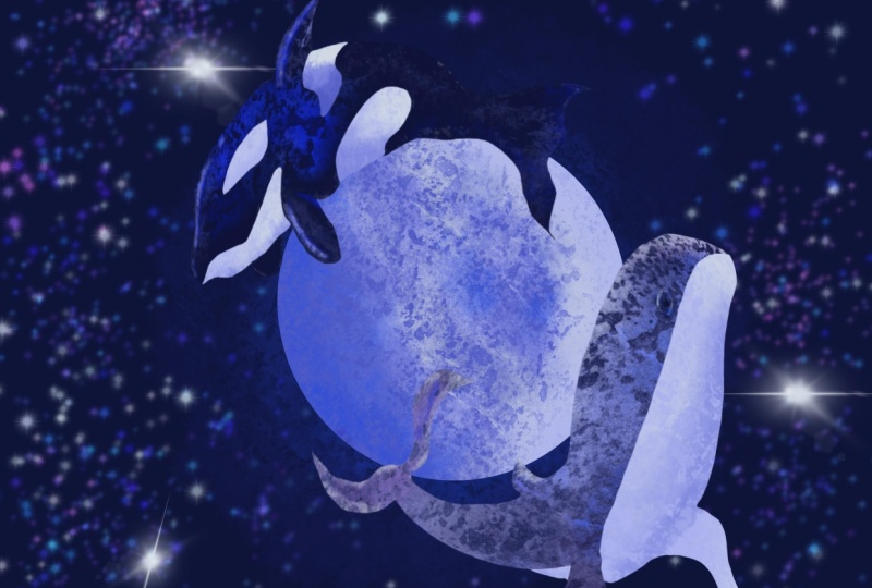 Whale Fun, Ty for the course it was easy to do and alot of fun