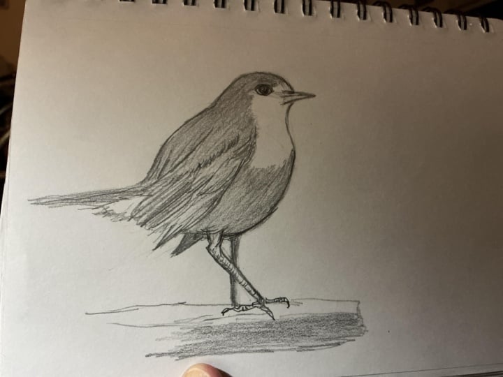 Robin