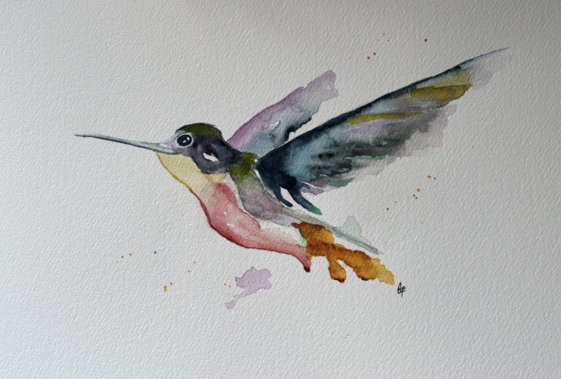 Learn to paint a humming bird with Paul Chaney