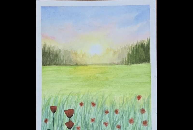 Poppy meadow