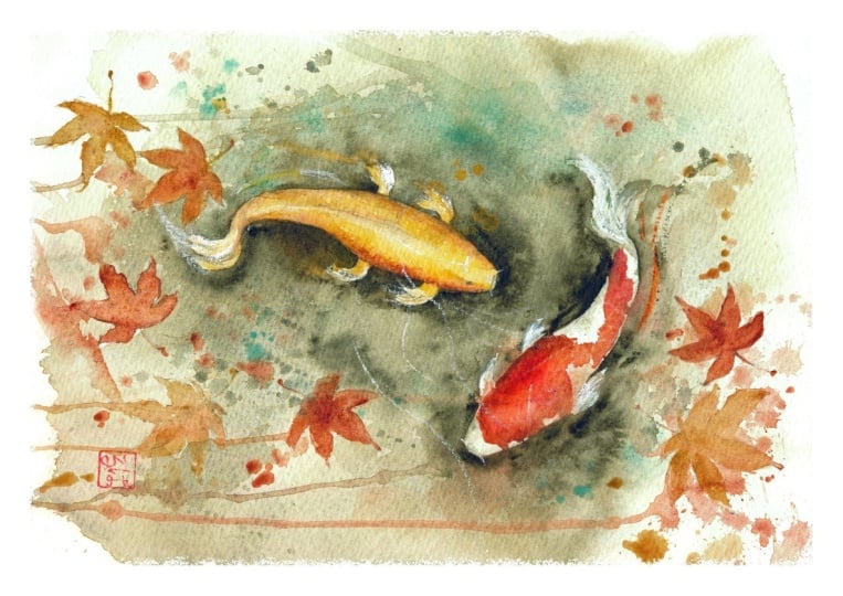 Koi fish