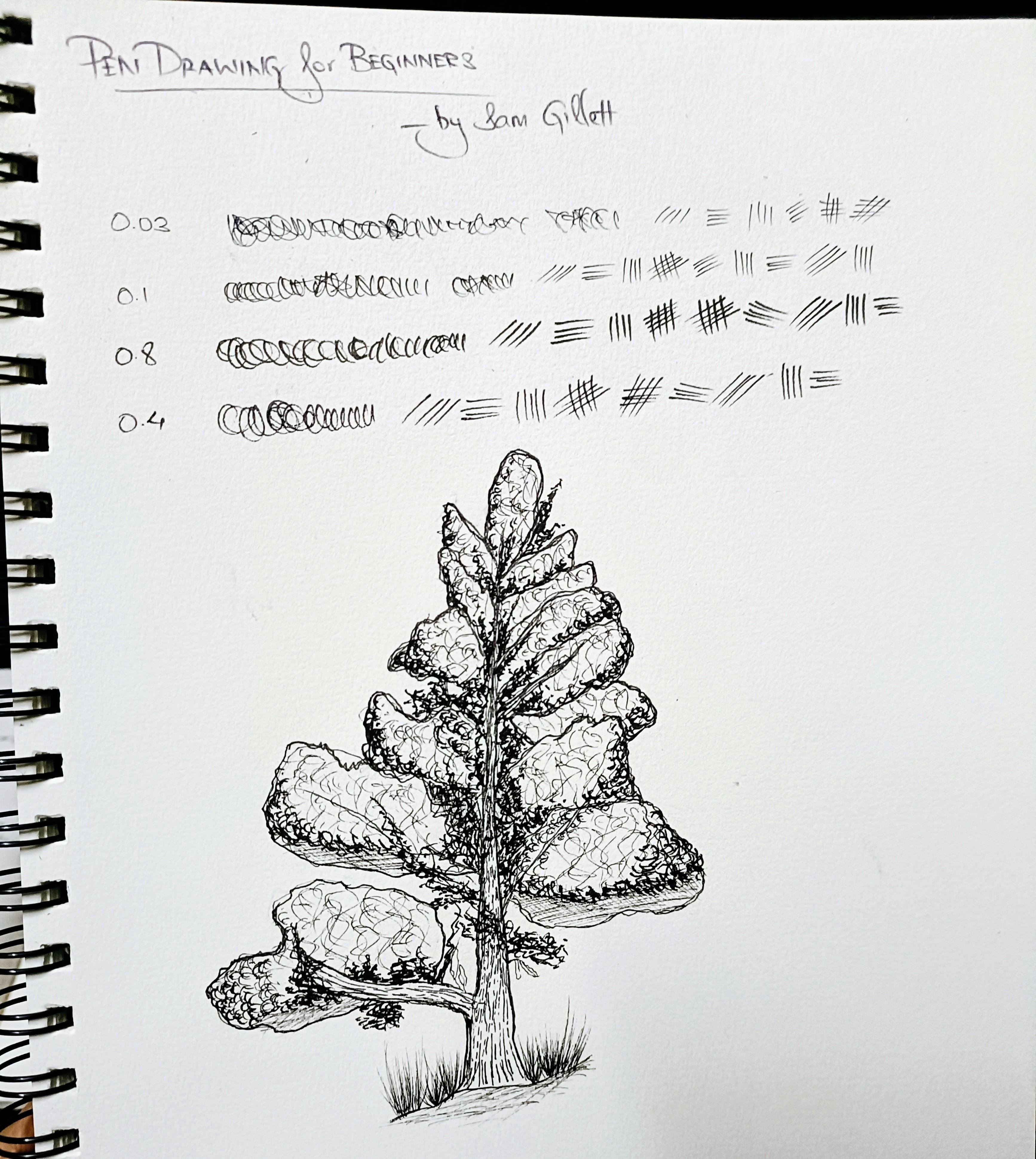 more-projects-from-class-img