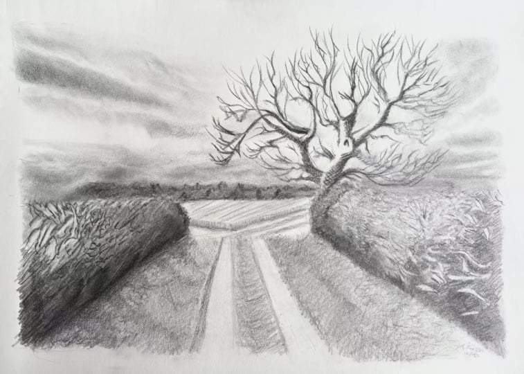 Countryside in One Point Perspective