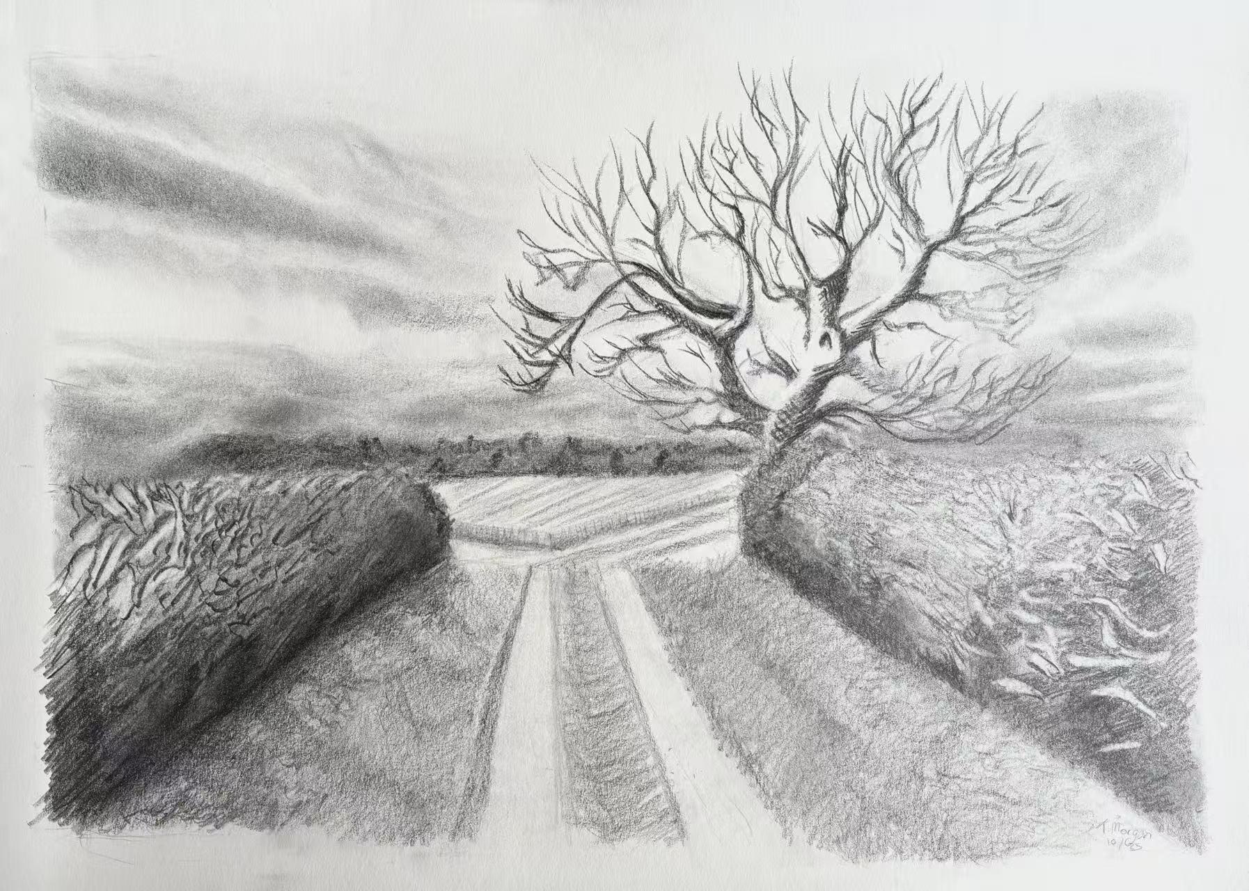 Bocetos en perspectiva a mano alzada: desafío de dibujo desordenado de 7  días | Sam Gillett | Skillshare, image size:1794x1280