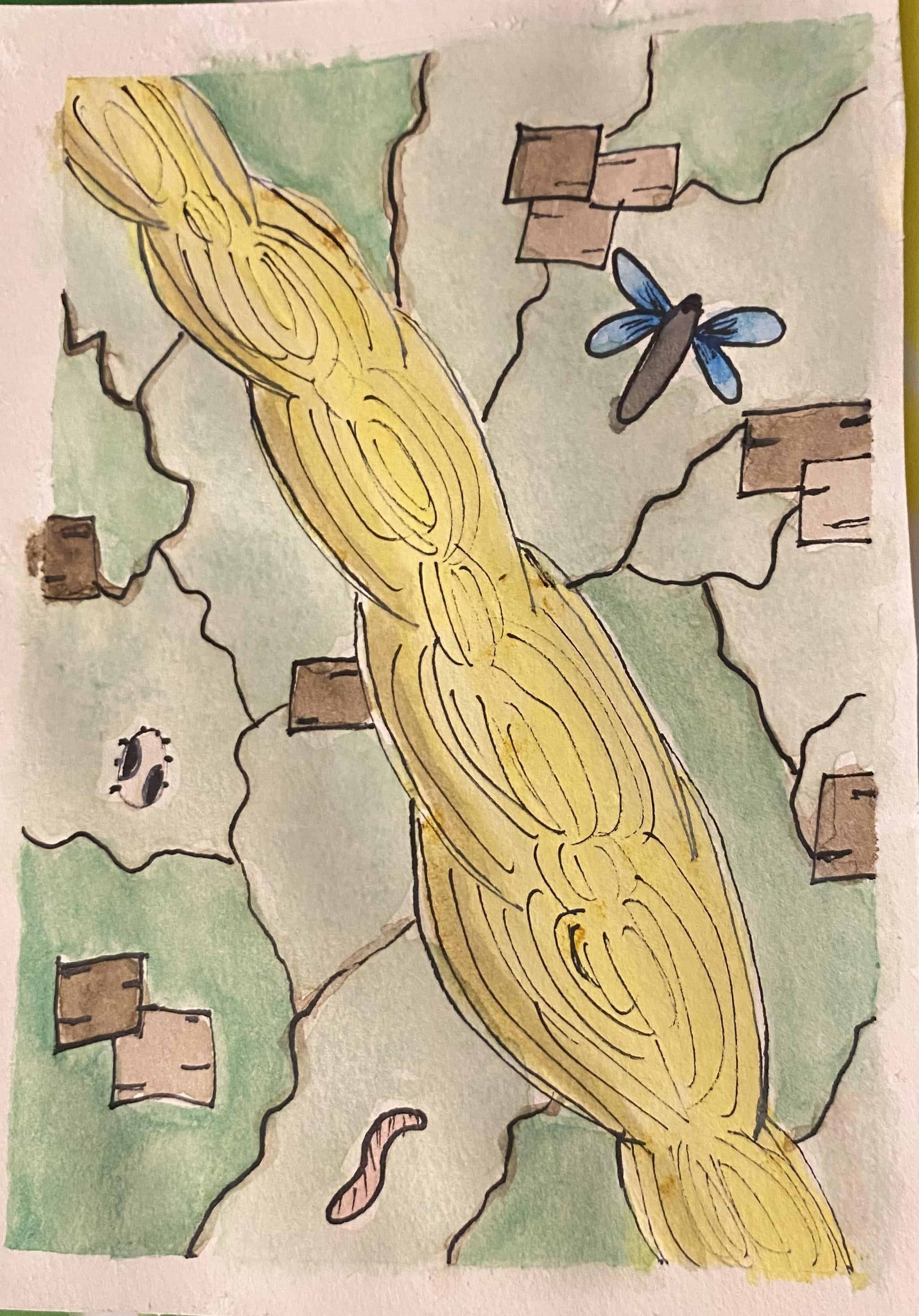 more-projects-from-class-img