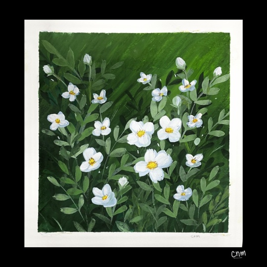Briar Rose