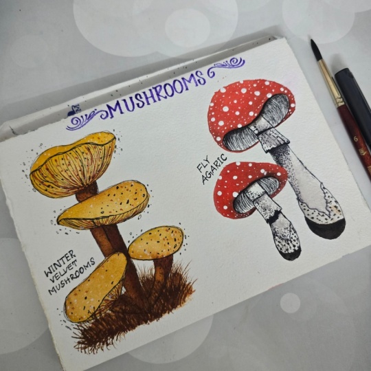 Whimsical Mushrooms