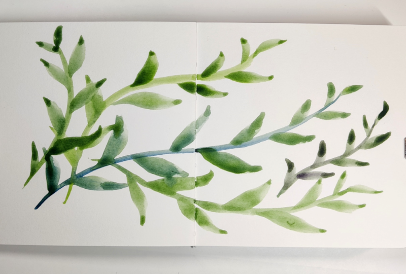 Mindful Vines