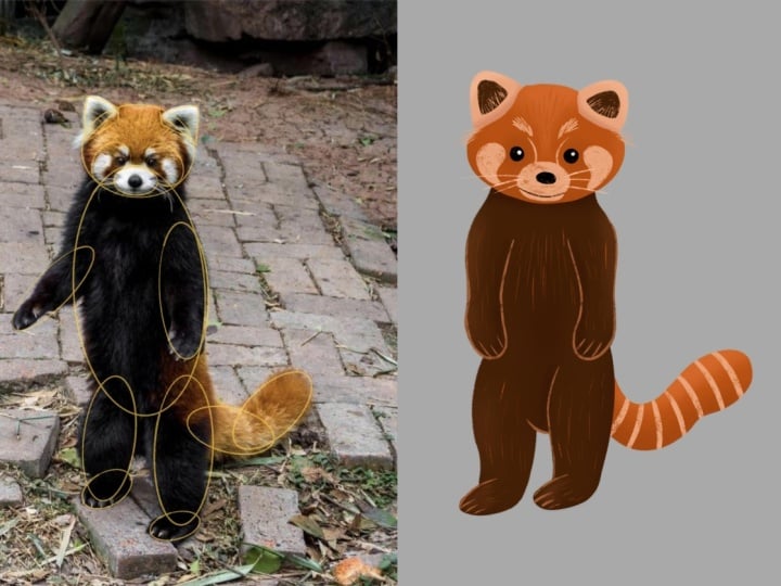 Illustrated Animals