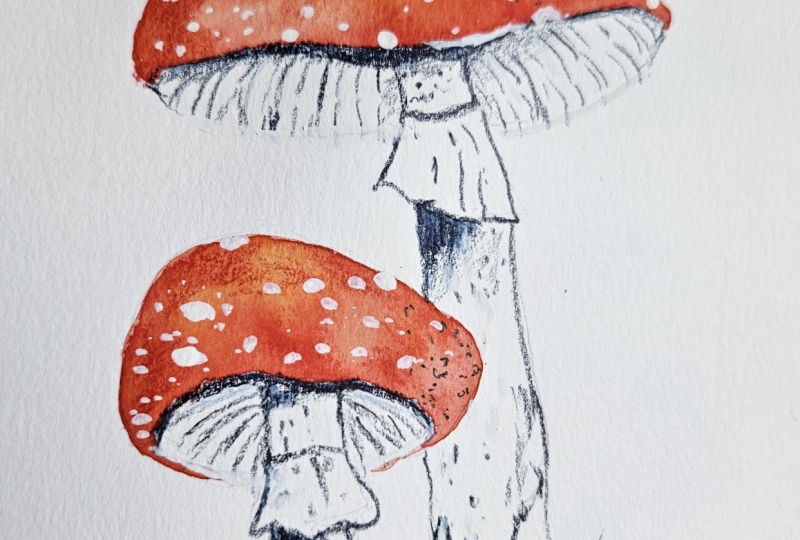 Whimsical mushrooms
