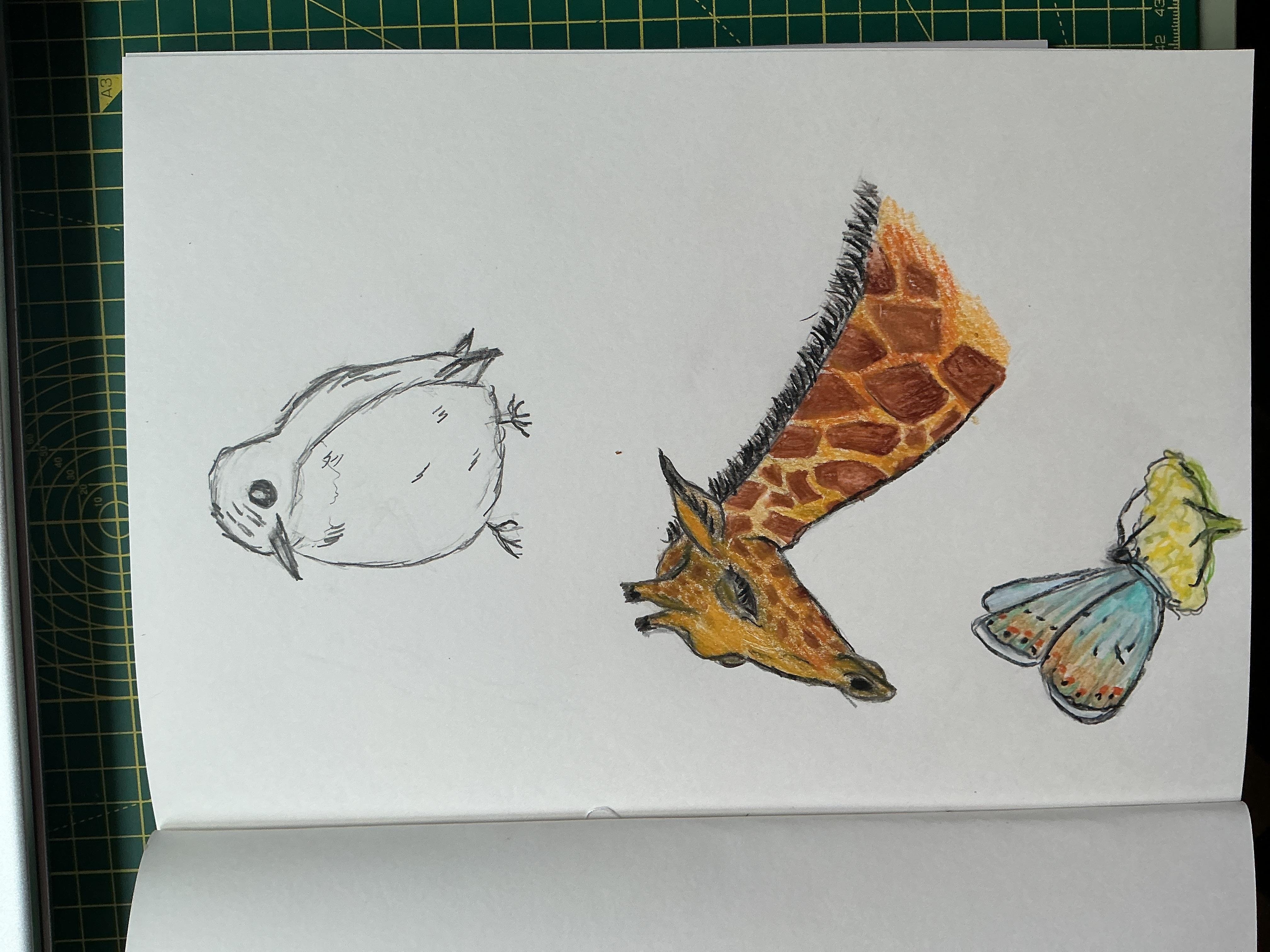 more-projects-from-class-img