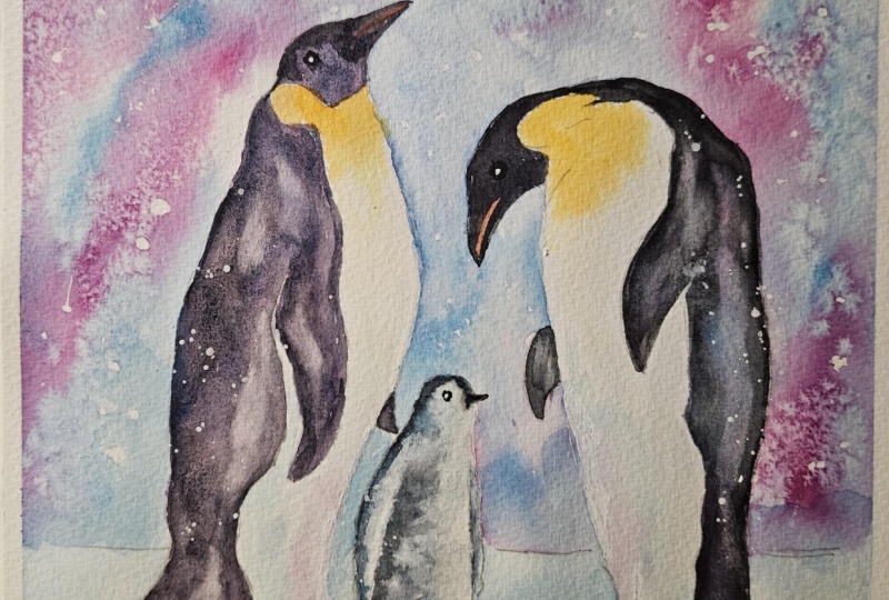 Penguins in the snow