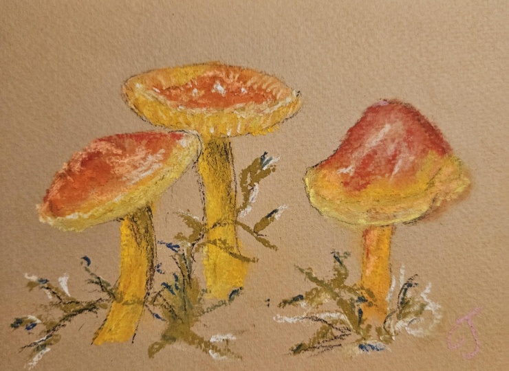 Mushrooms soft pastel