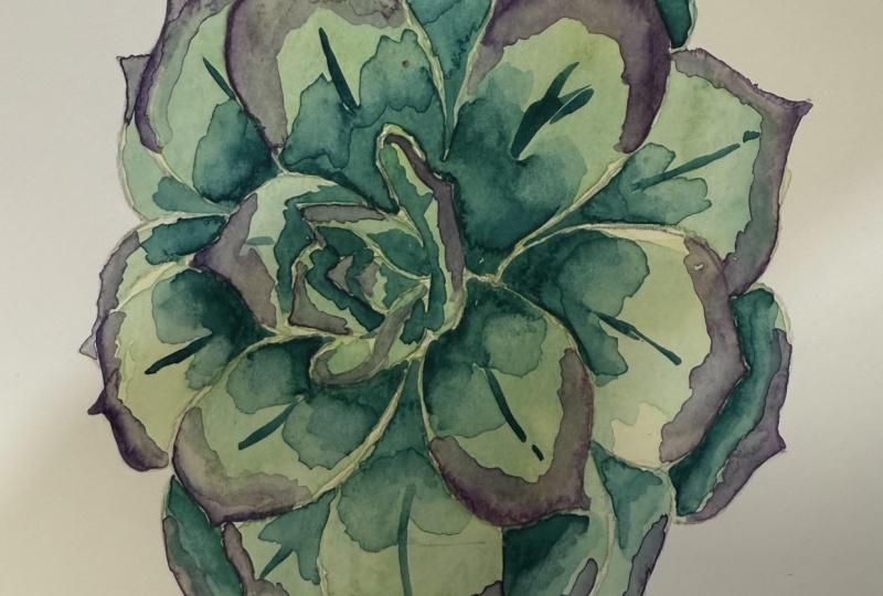 Watercolor Succulent