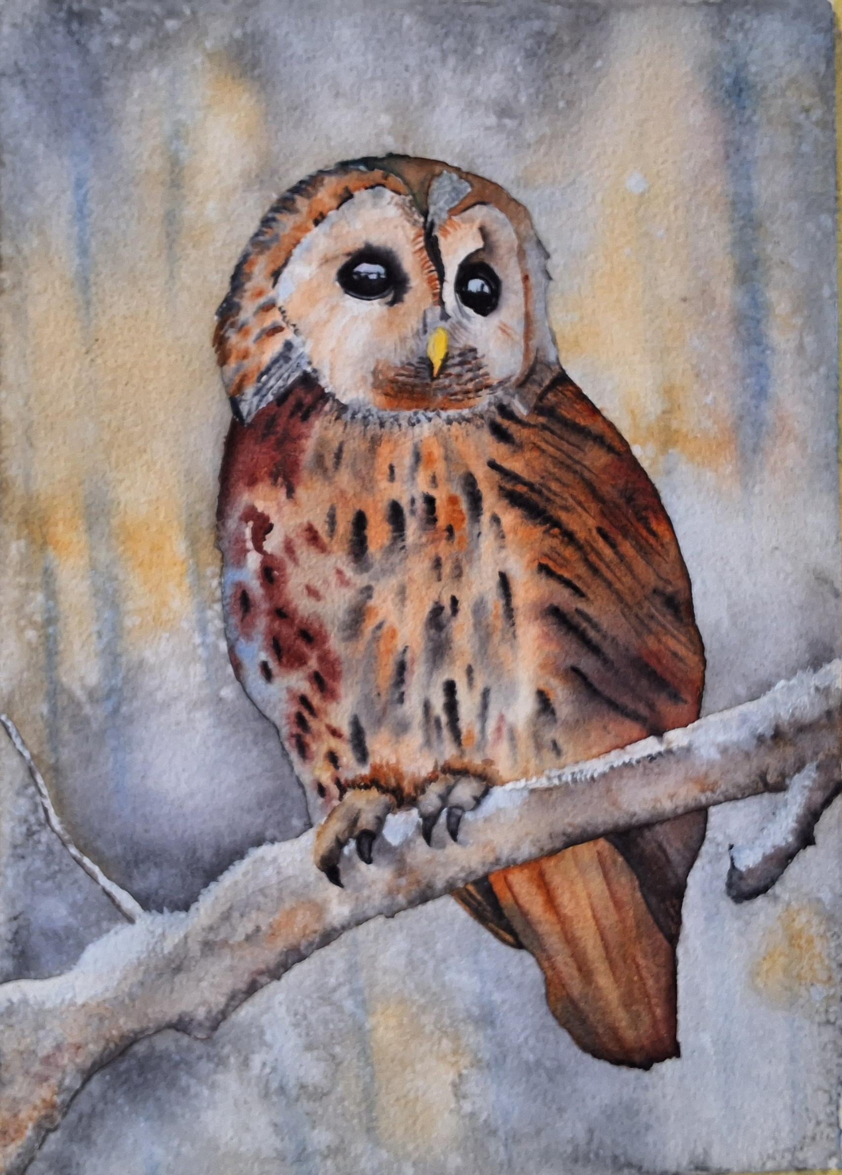 Winter owl. - student project