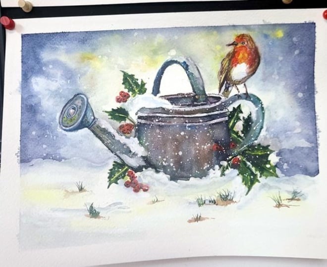 Robin in Winter Snow