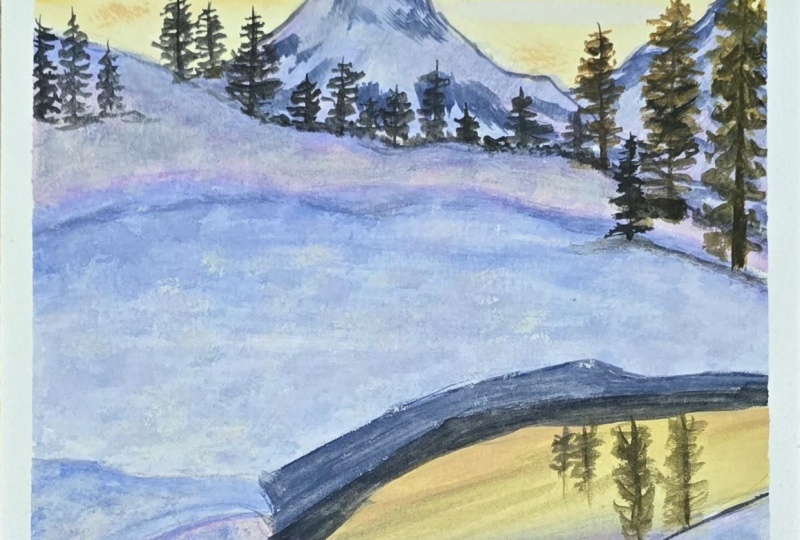 Snowy landscapes