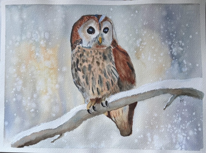 Winter Owl