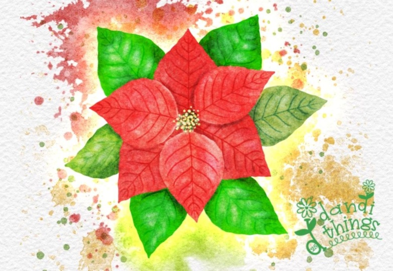 Prosperous Poinsettia