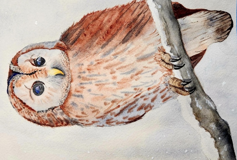 Winston the Owl