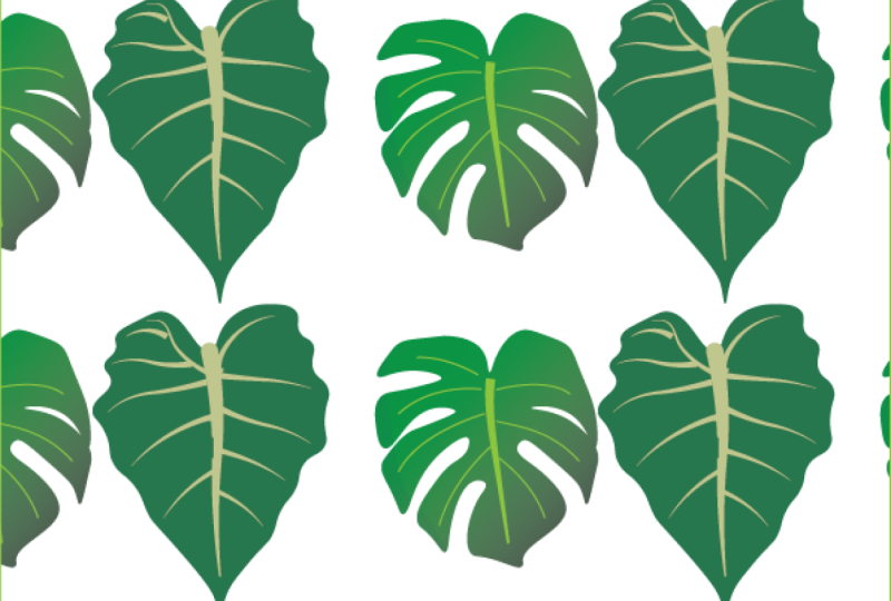 Pattern Practice