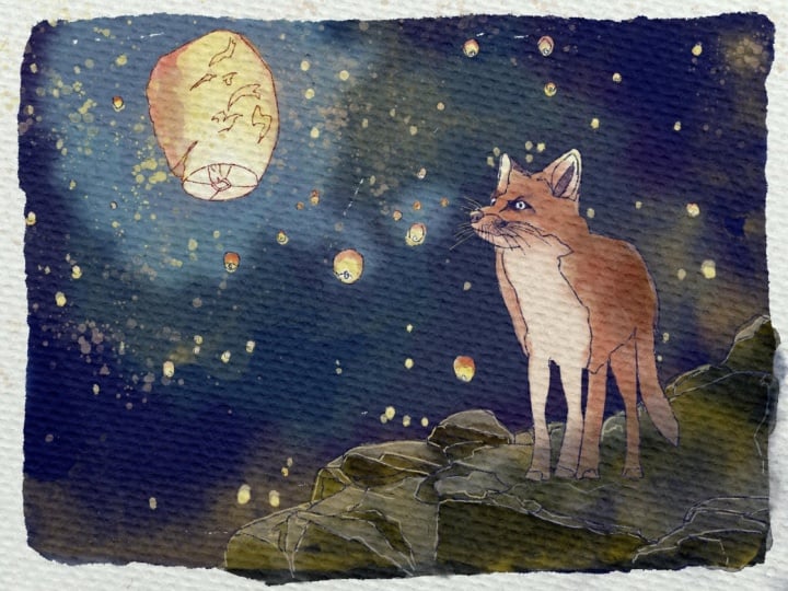 My illustrations.