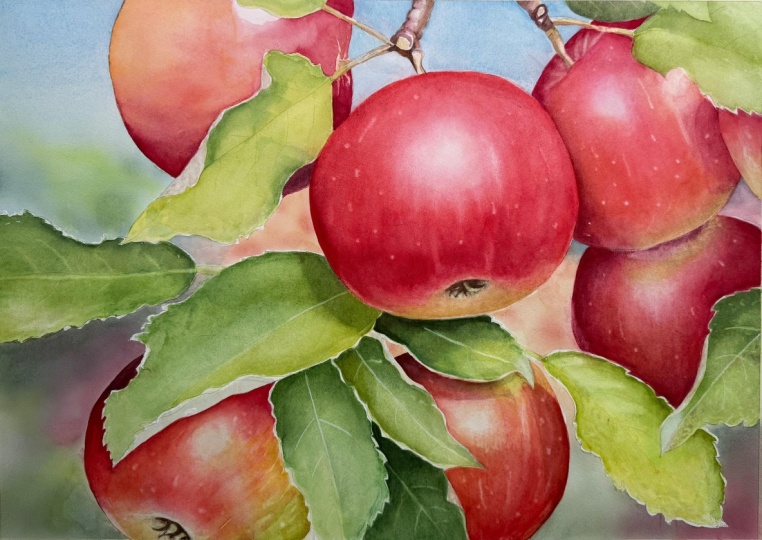 Juicy Apples