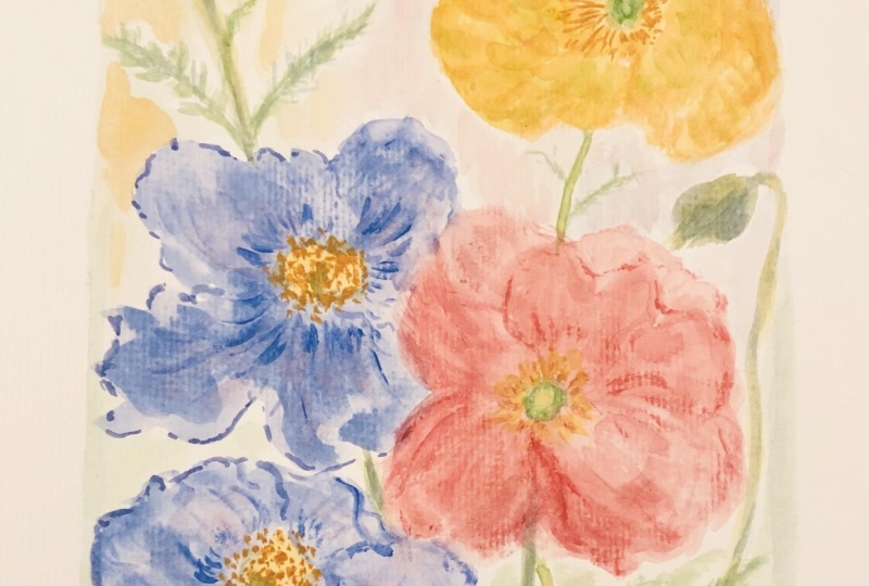 My Interpretation of Poppies