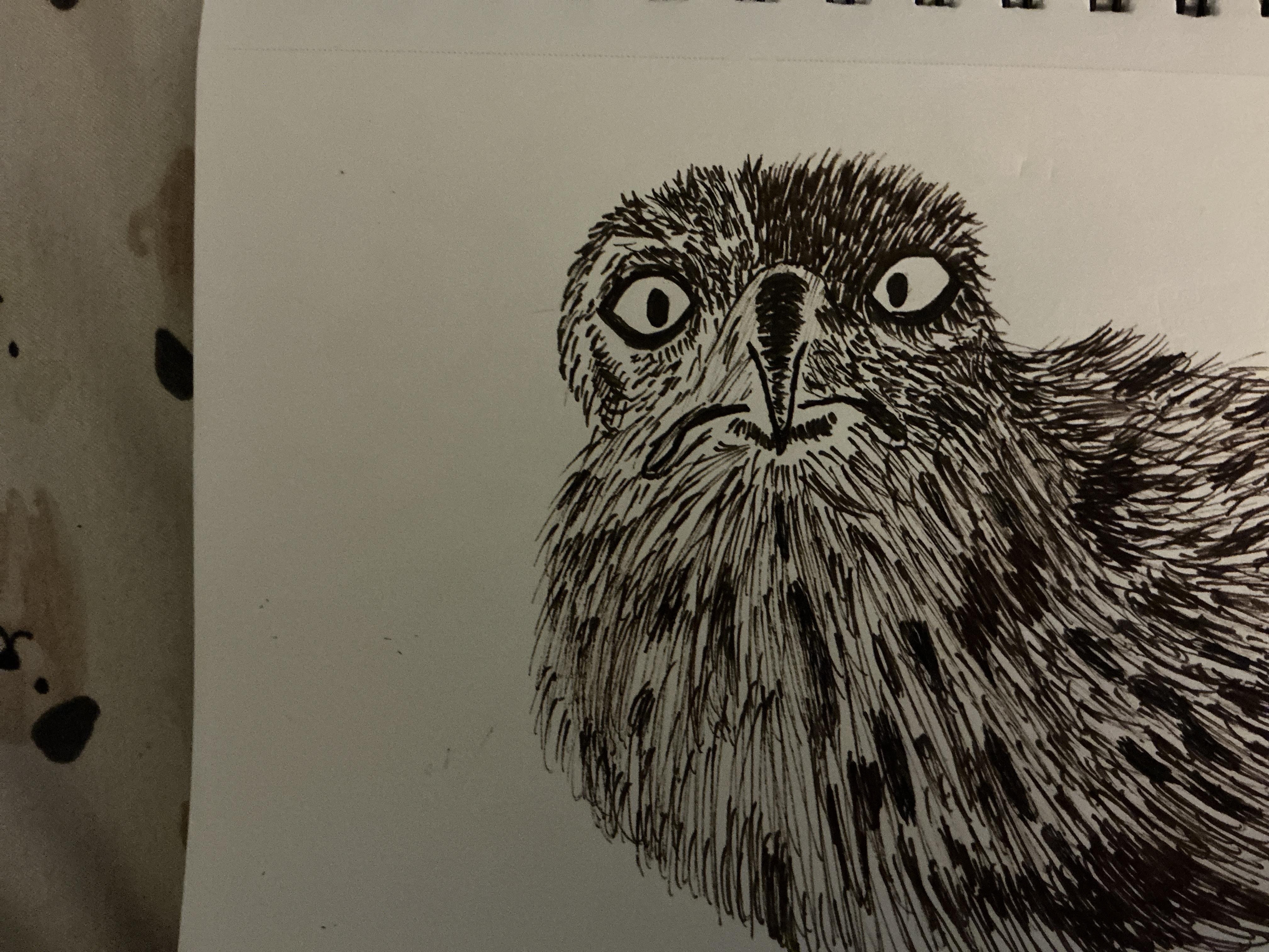 more-projects-from-class-img