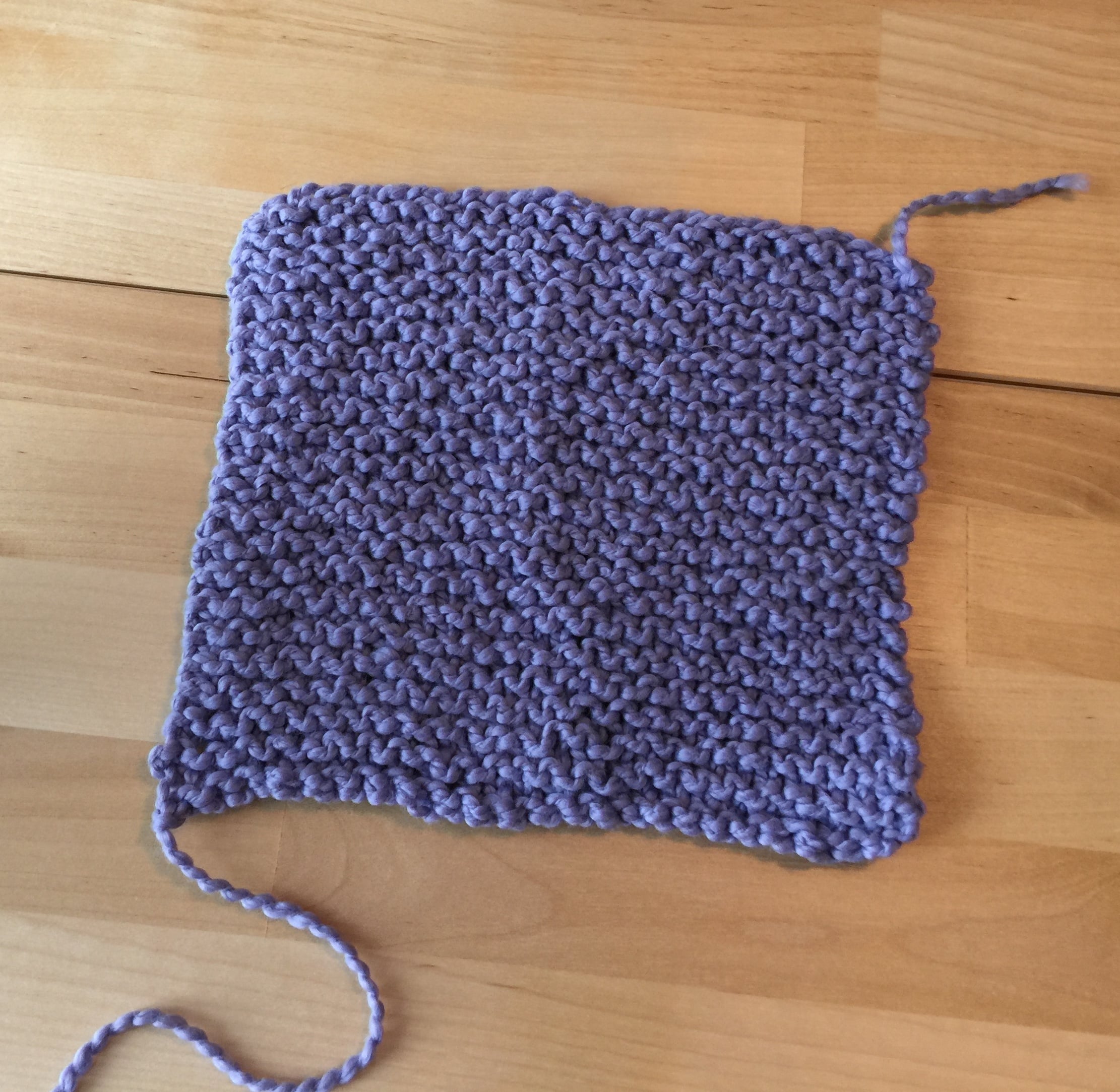 My first class ... Intro to Beginning Knitting - student project