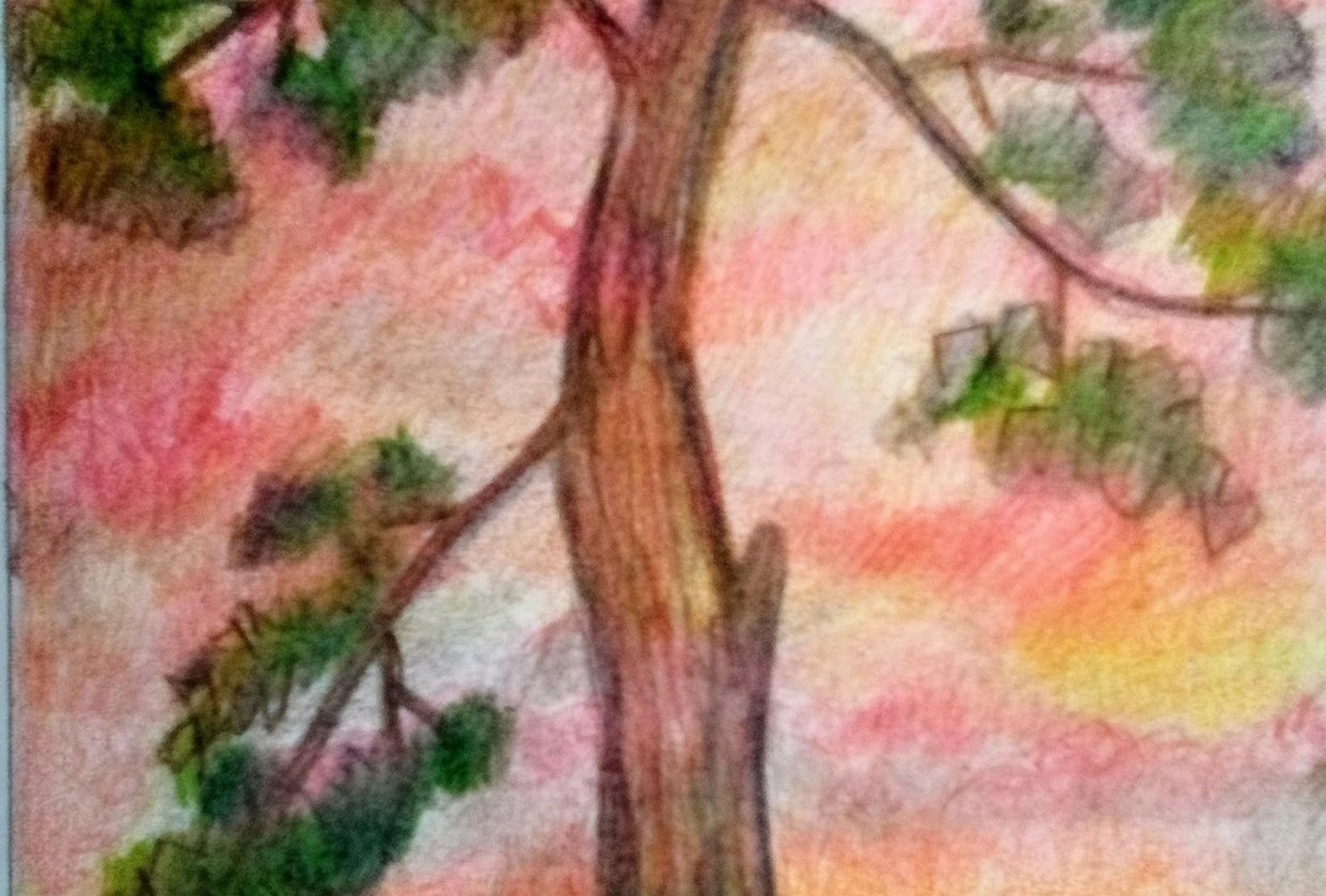 49 ideas de Paisajes a lápiz y arboles | paisaje a lapiz, dibujos de  árboles, bocetos de árboles, image size:1242x839