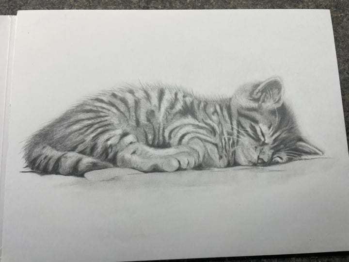 Drawing fur with graphite