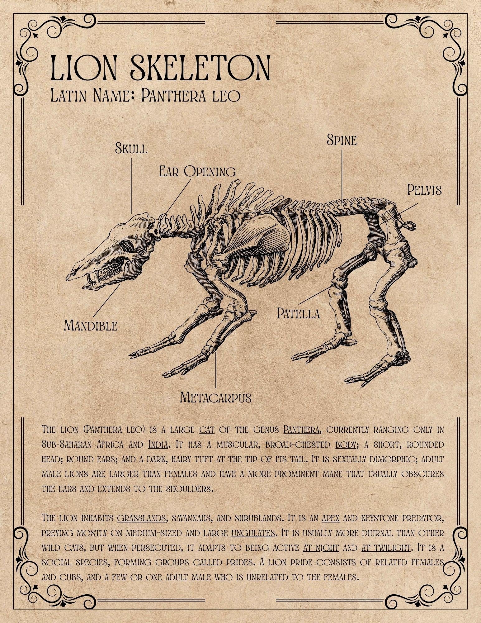 more-projects-from-class-img