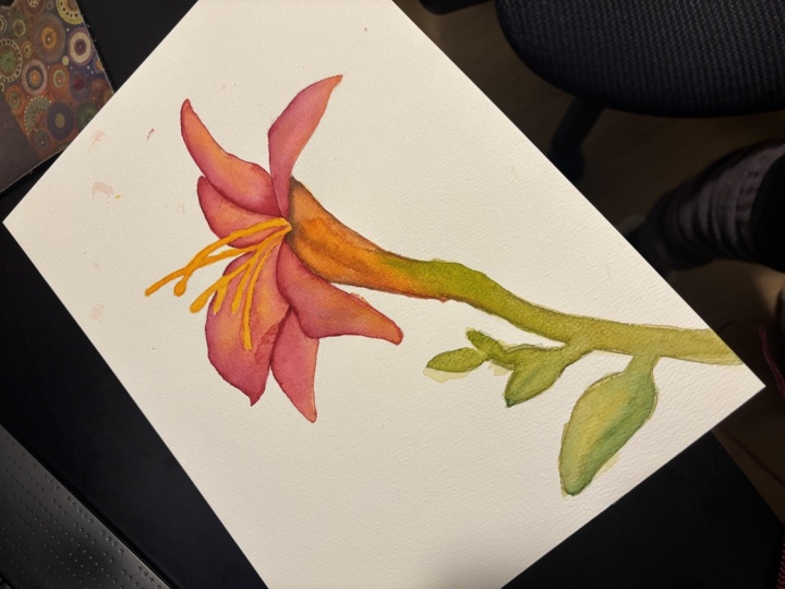 Lily