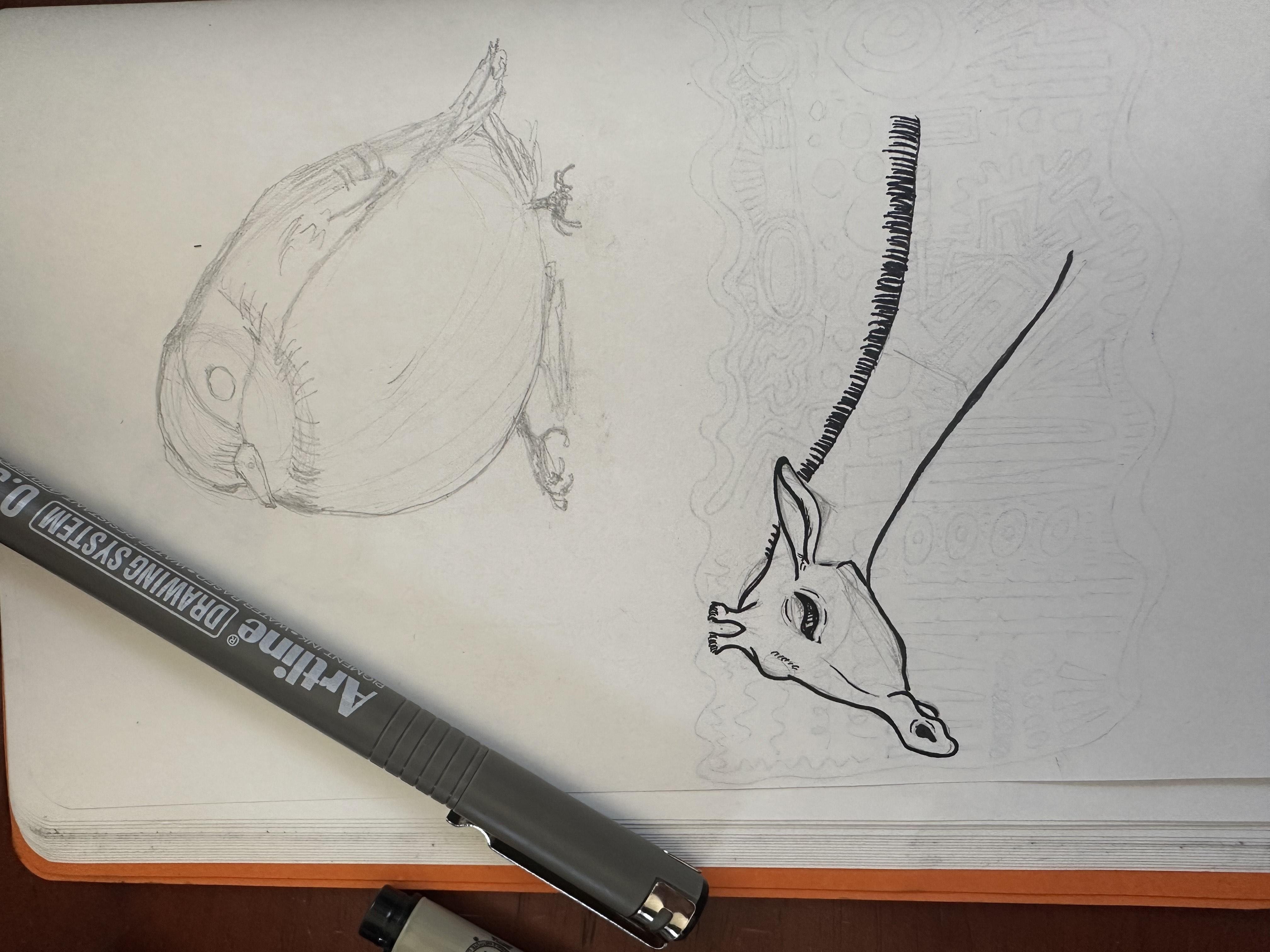 more-projects-from-class-img