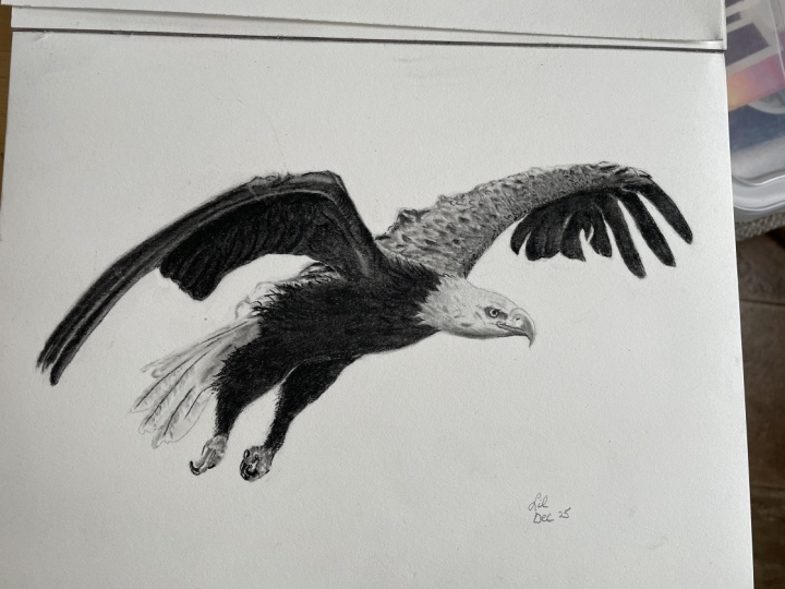 Charcoal bald eagle