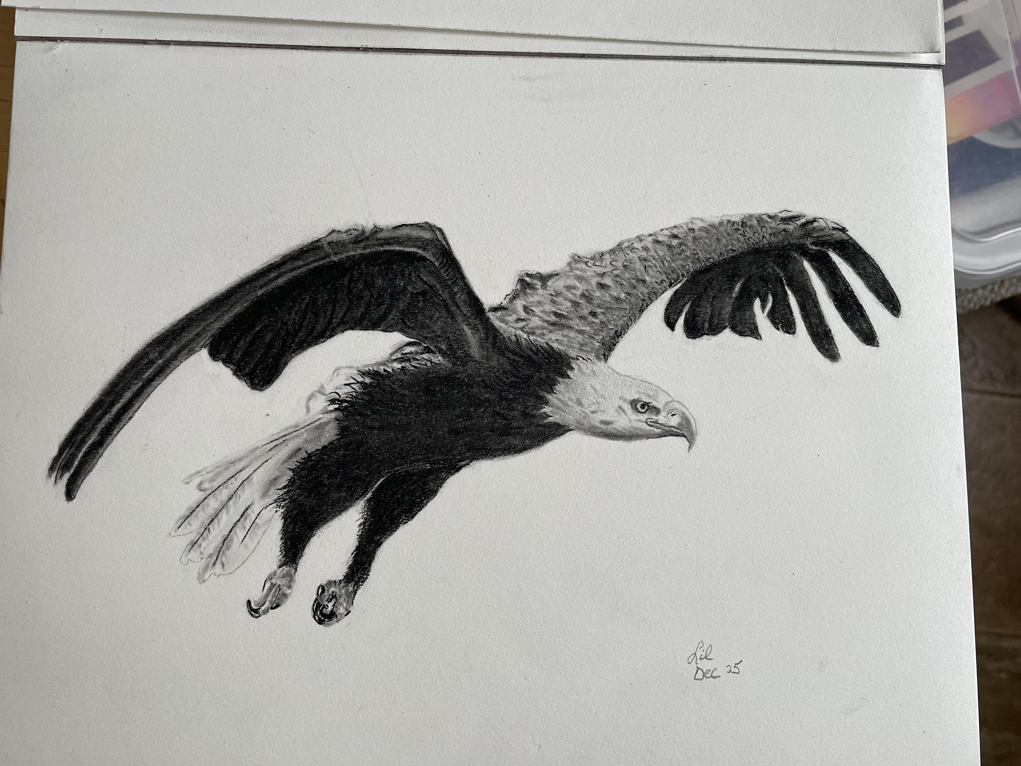 Charcoal bald eagle - student project