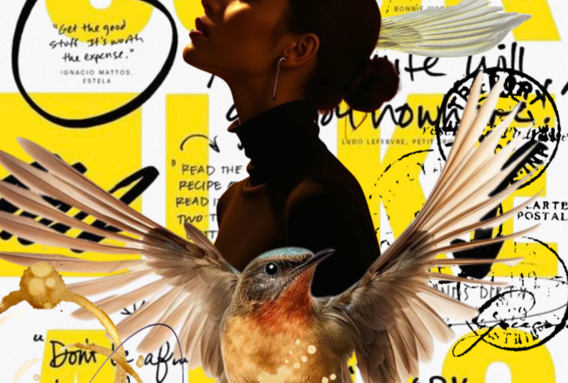 Collages digital