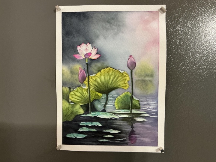 Waterlilies