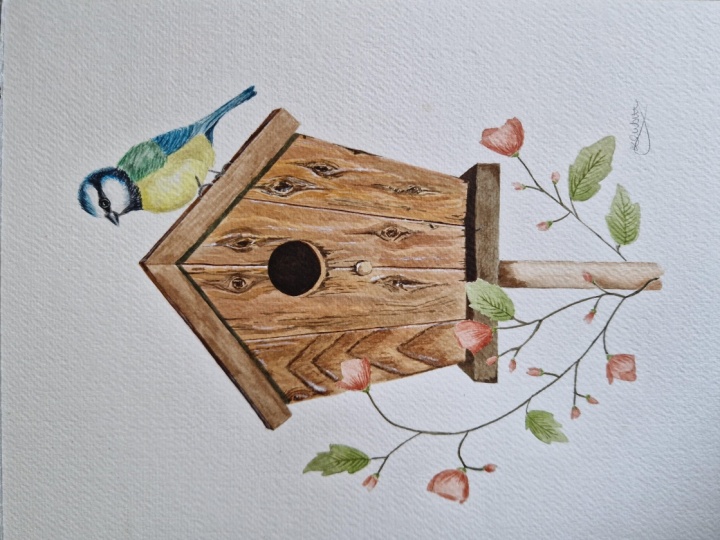 Watercolour Birdhouse Scene