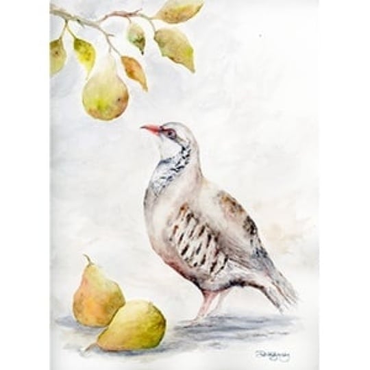 Beneath the Pear Tree