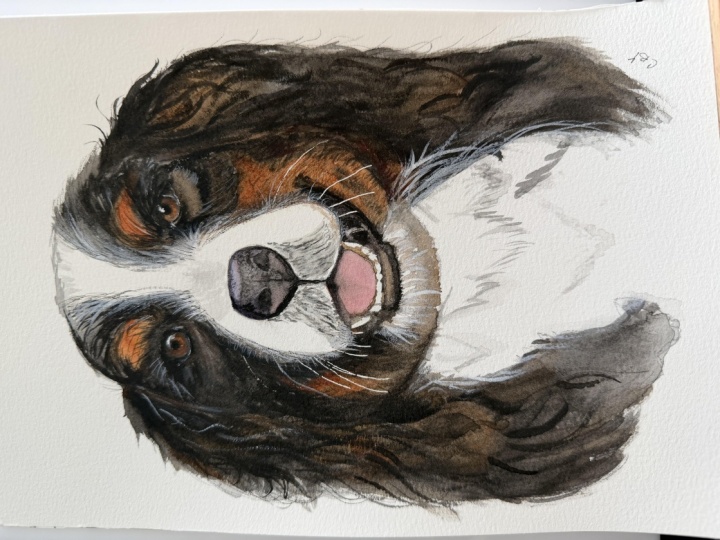 Bernese