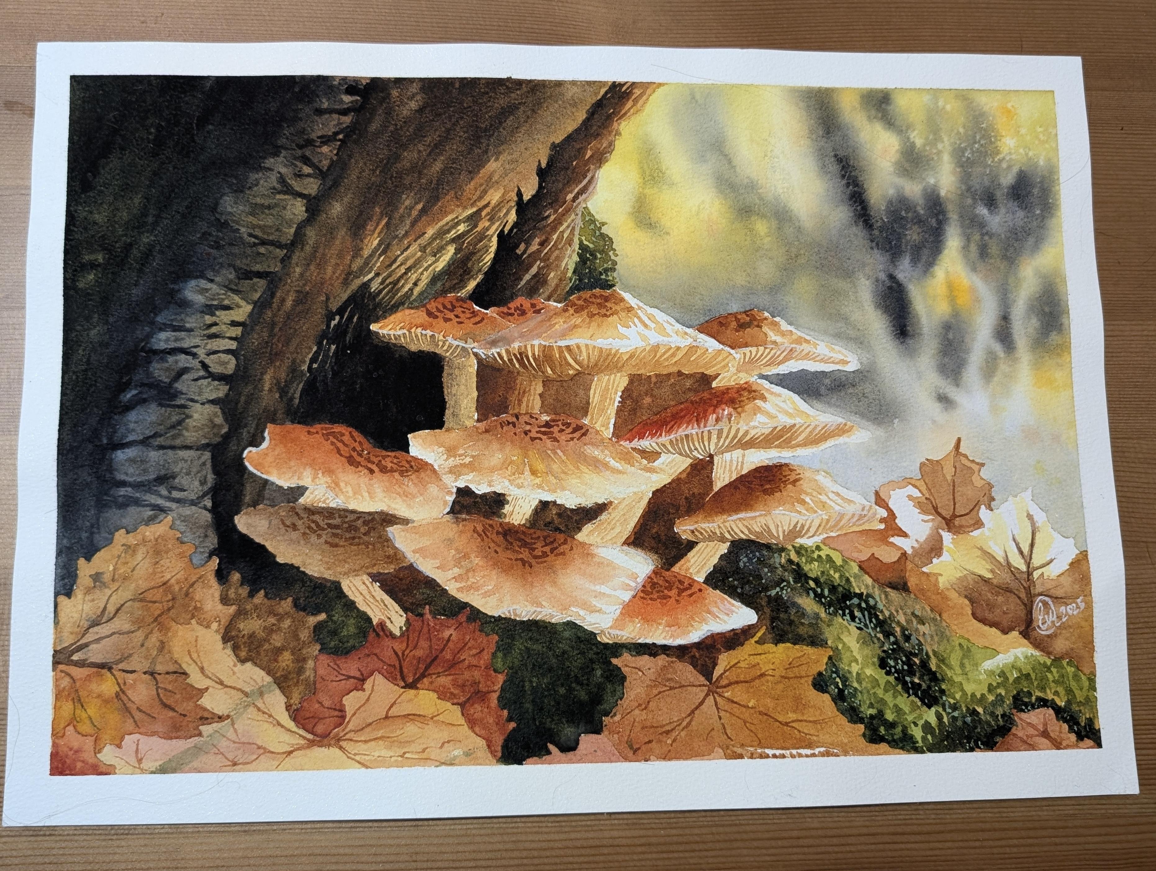 more-projects-from-class-img