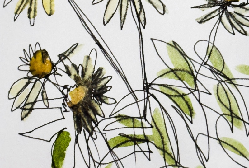 Blind contour flowers