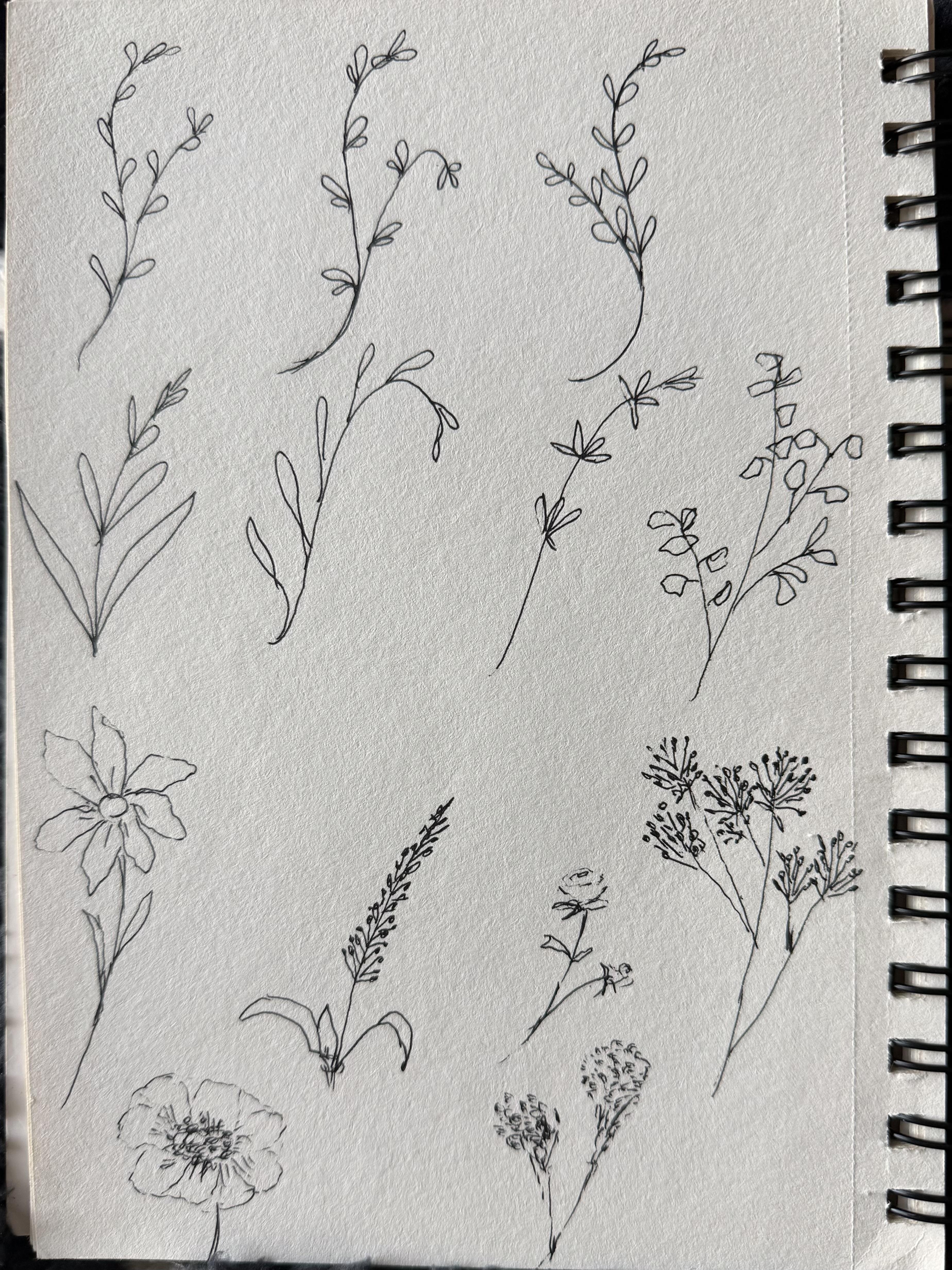 more-projects-from-class-img