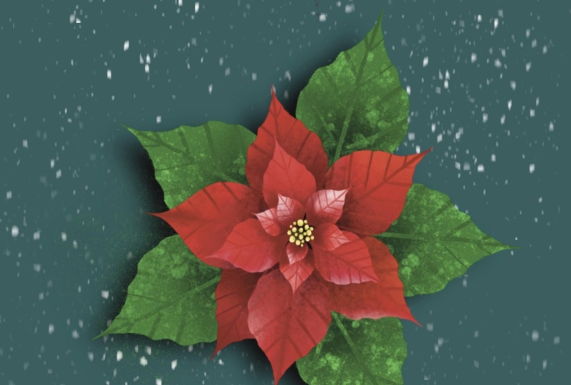 Greeting Card