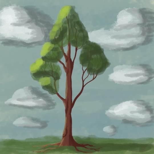 ARBOL