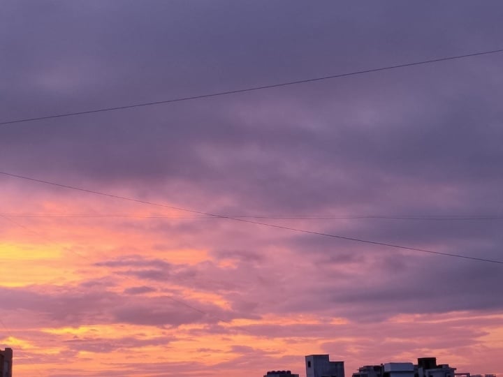 My beautiful mornings