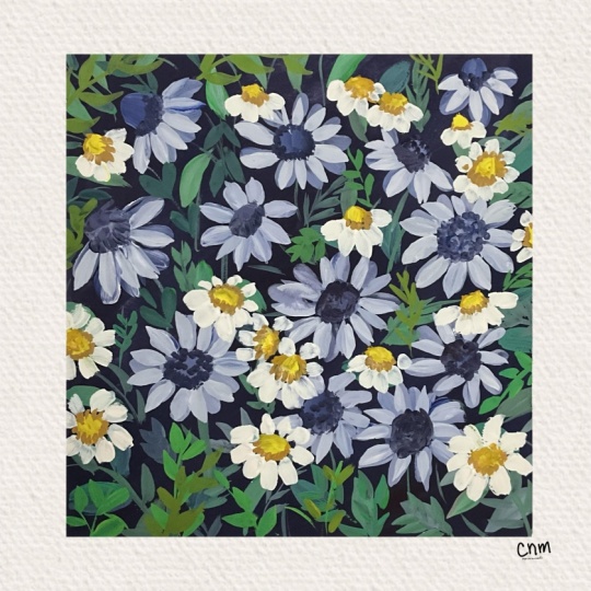 Daisies in Gouache