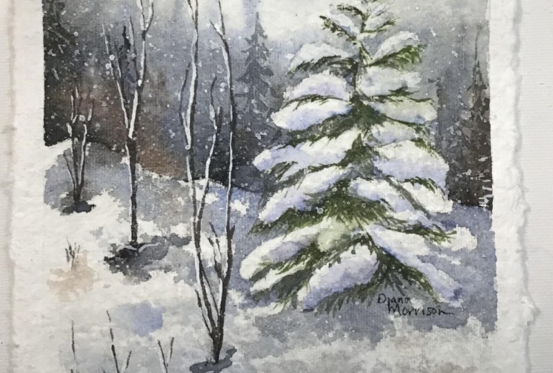 Wintry Forest